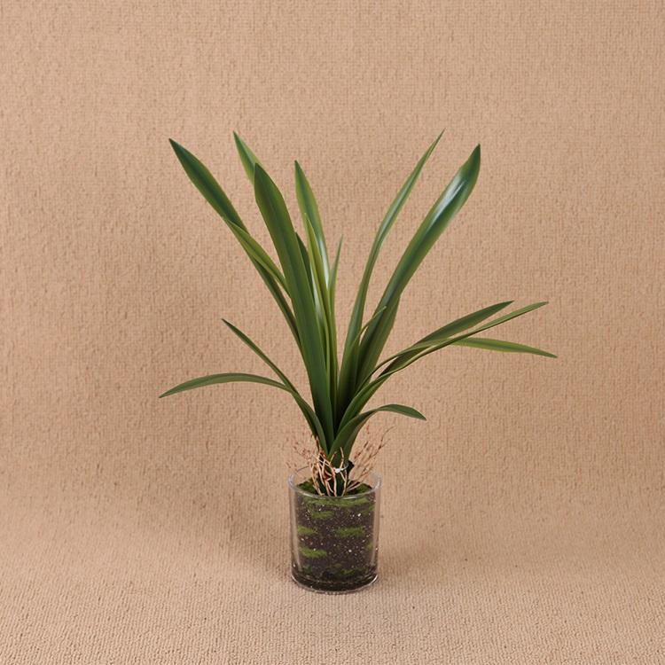 Artificial Plant