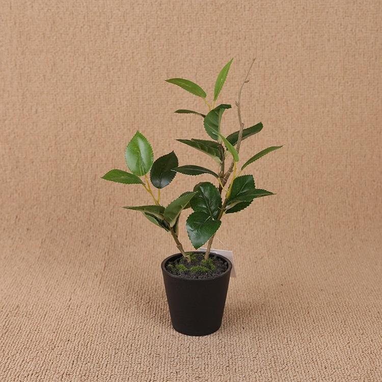 Artificial Plant