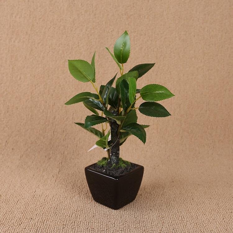 Artificial Plant